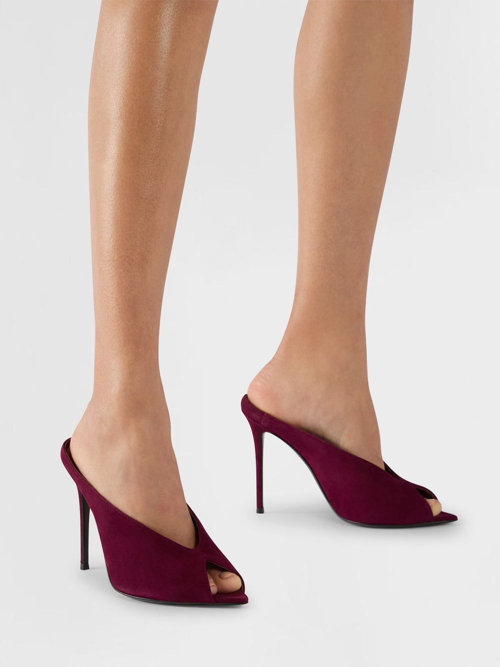 INTRIIGO CLUEDO MULE 105