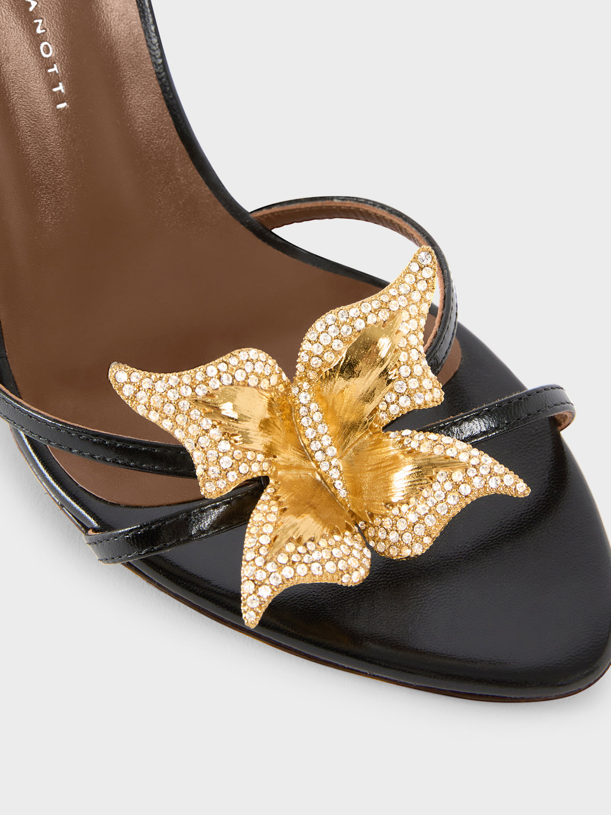 BUTTERFLY MULE 105