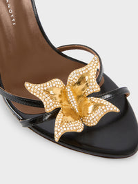 BUTTERFLY MULE 105