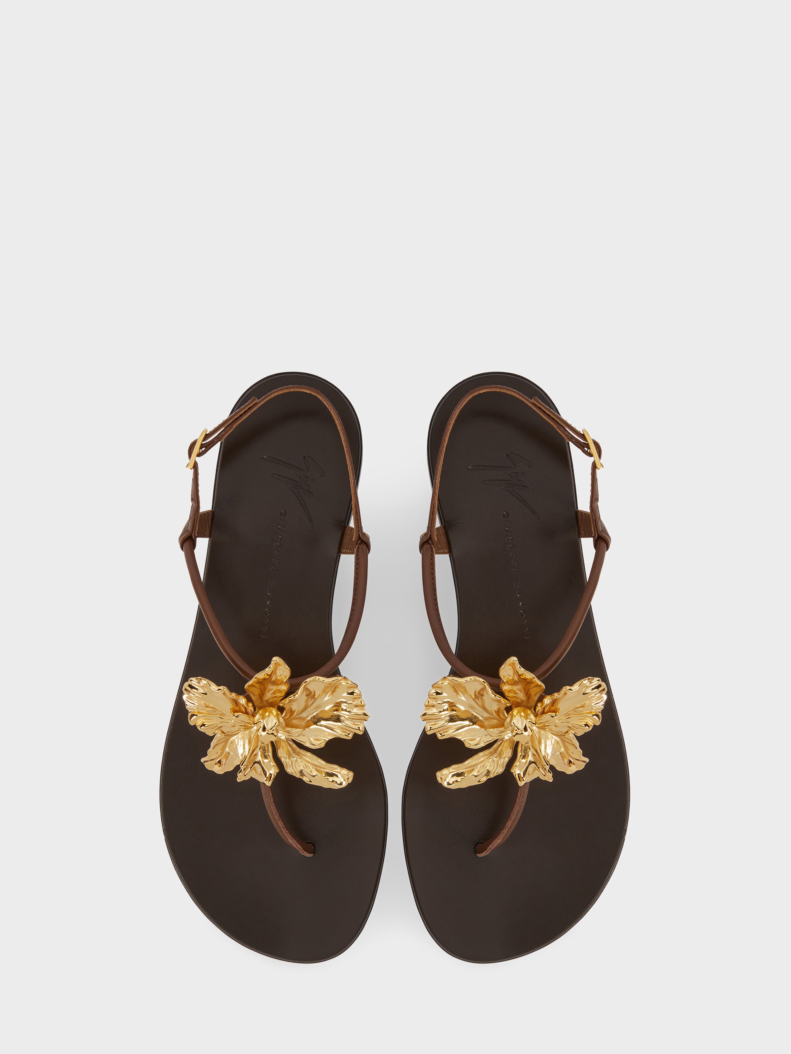 ORCHID FLAT SANDAL | GIUSEPPE ZANOTTI