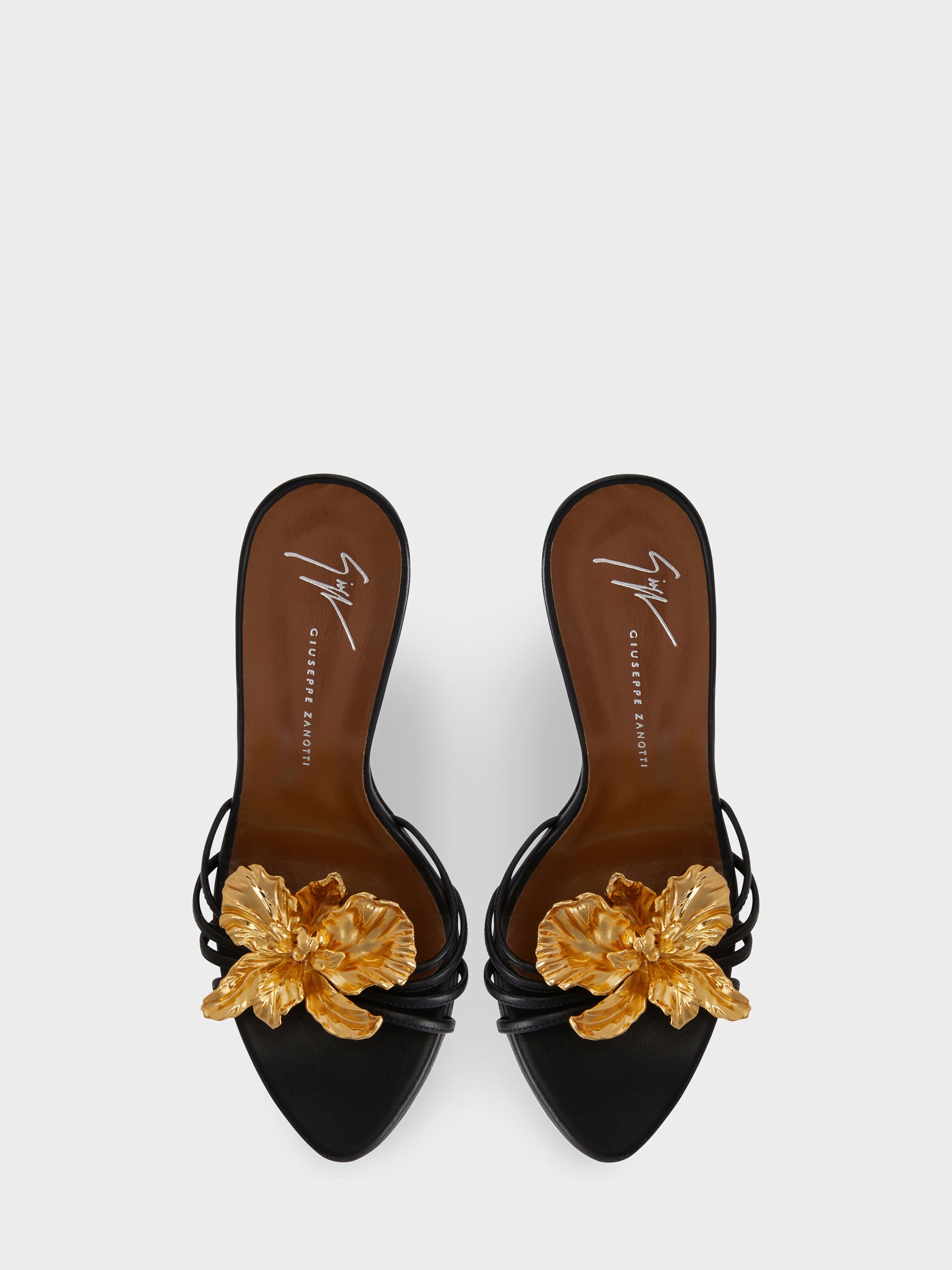 ORCHID MULE 105