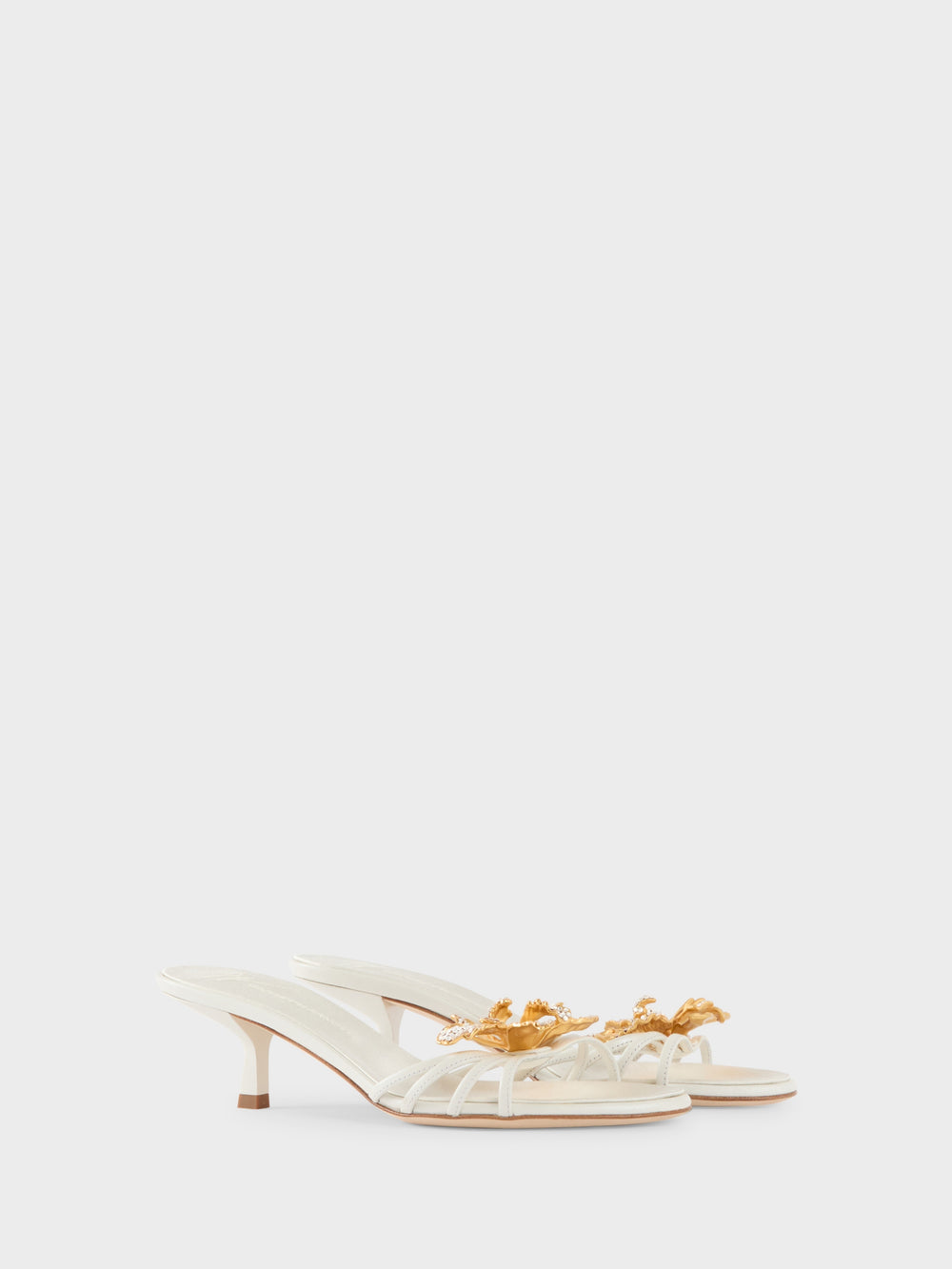 ORCHID CRYSTAL MULE 50