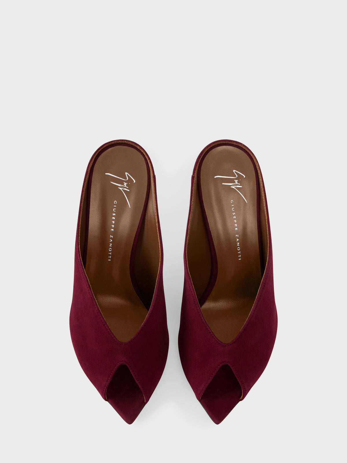 INTRIIGO CLUEDO MULE 105