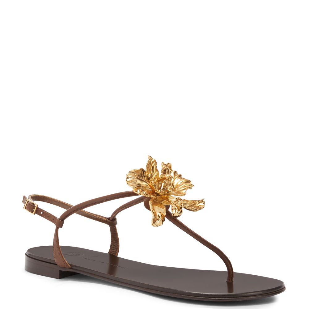 ORCHID FLAT: Flats Brown | Giuseppe Zanotti