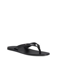 [GIUSEPPE ZANOTTI] ジュゼッペザノッティ/ Philemon PHILEMON